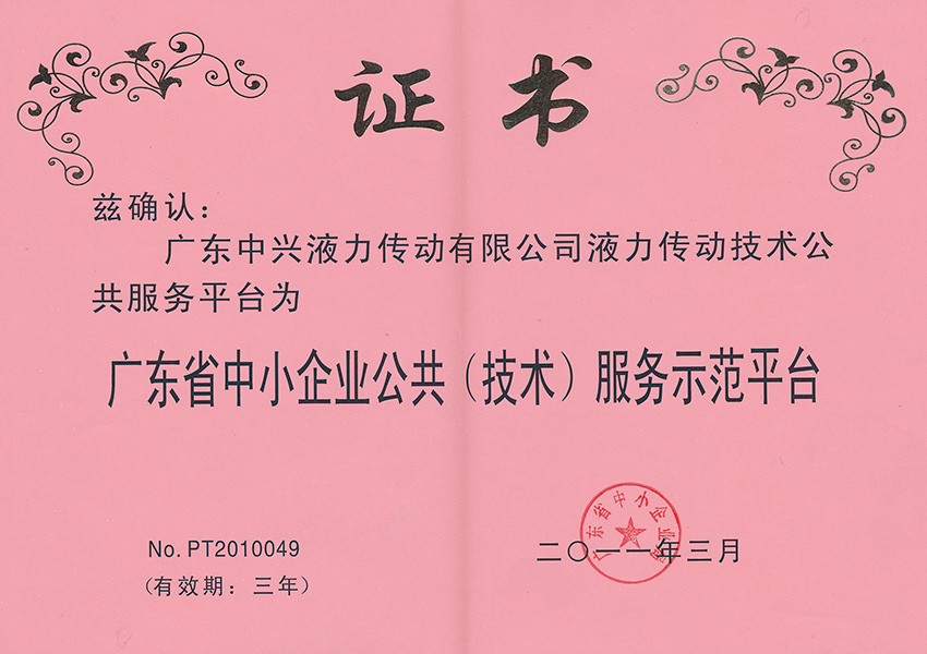 2011年公共(技術(shù))服務(wù)示范平臺(tái)證書