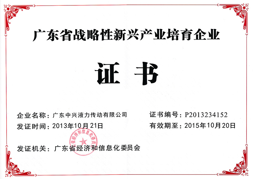 2013年廣東省戰(zhàn)略性新興產(chǎn)業(yè)培育企業(yè)證書